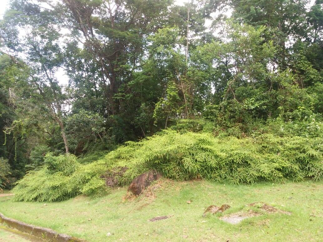 Área para Venda em Ubatuba - 4