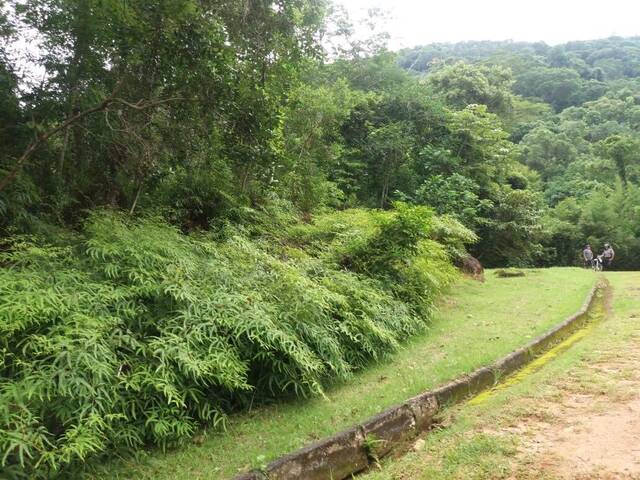 #329 - Área para Venda em Ubatuba - SP - 3