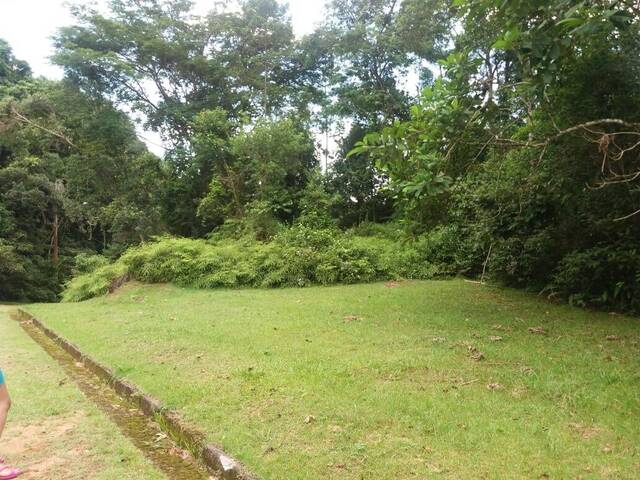 #329 - Área para Venda em Ubatuba - SP - 2